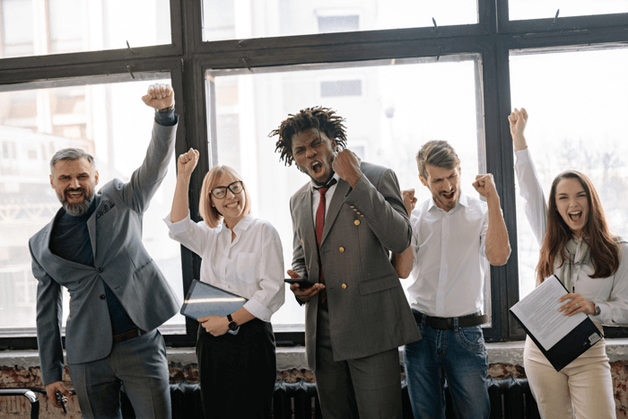 language audit d language audit success